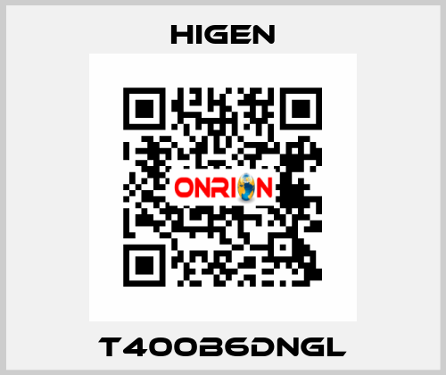 T400B6DNGL Higen