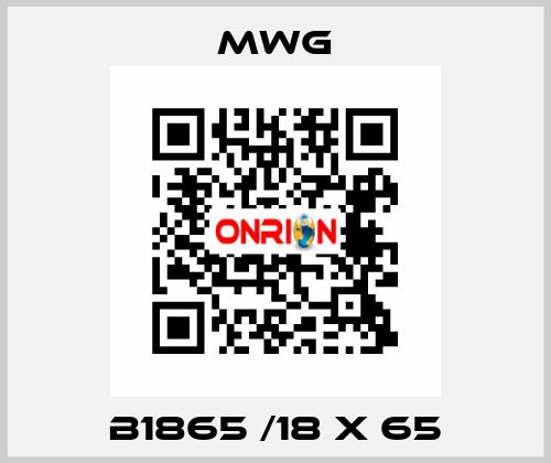 B1865 /18 x 65 MWG