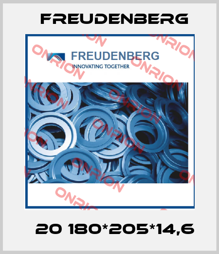 Т20 180*205*14,6 Freudenberg