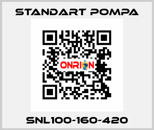 SNL100-160-420 STANDART POMPA