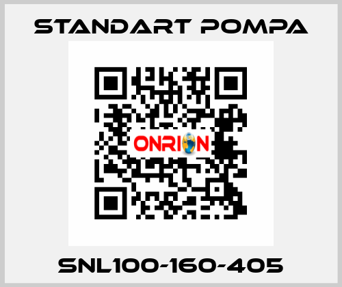 SNL100-160-405 STANDART POMPA