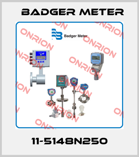 11-5148N250 Badger Meter