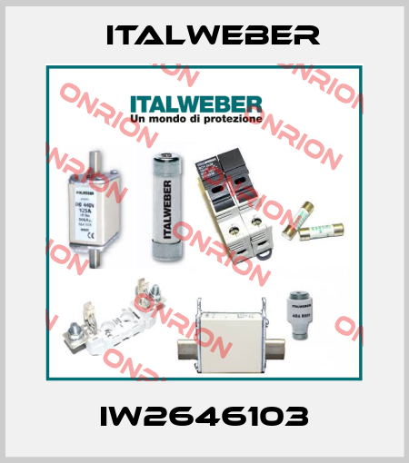 IW2646103 Italweber