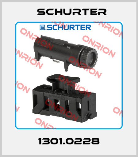 1301.0228 Schurter