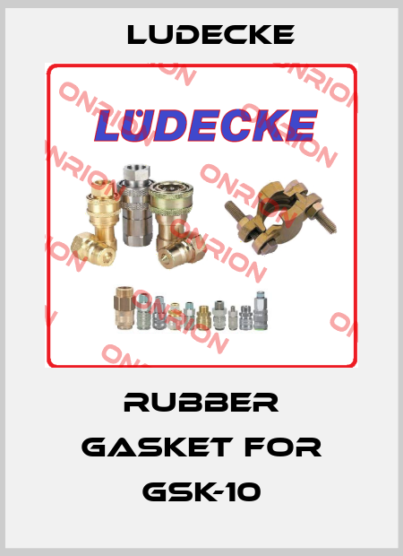 rubber gasket for GSK-10 Ludecke