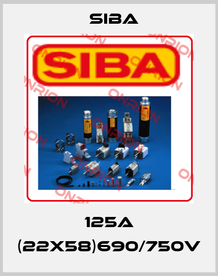 125A (22x58)690/750V Siba