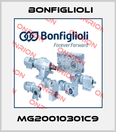 MG20010301C9 Bonfiglioli