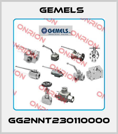 GG2NNT230110000 Gemels