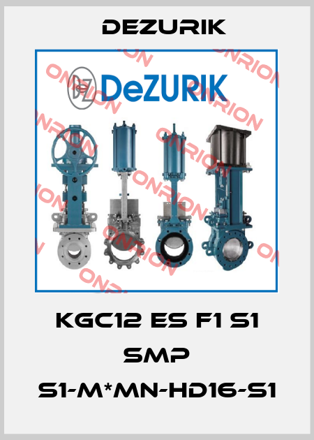 KGC12 ES F1 S1 SMP S1-M*MN-HD16-S1 DeZurik