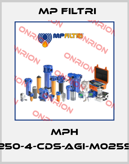 MPH 250-4-CDS-AGI-M025S MP Filtri