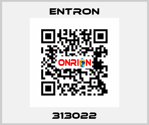 313022 Entron
