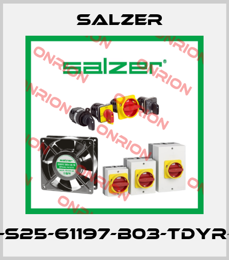 25A-S25-61197-B03-TDYR-025 Salzer
