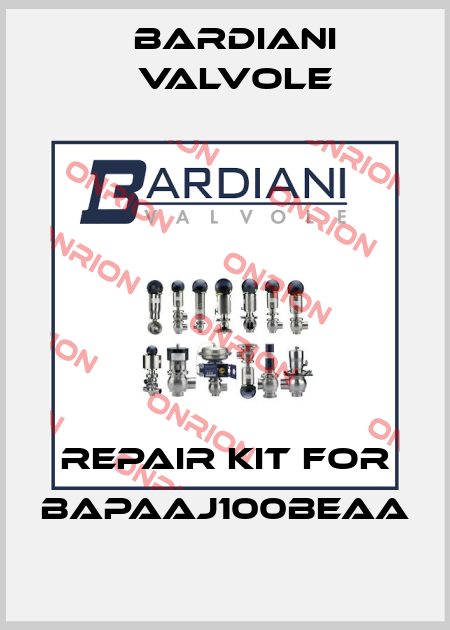 repair kit for BAPAAJ100BEAA Bardiani Valvole