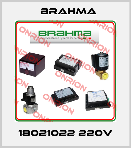 18021022 220v Brahma