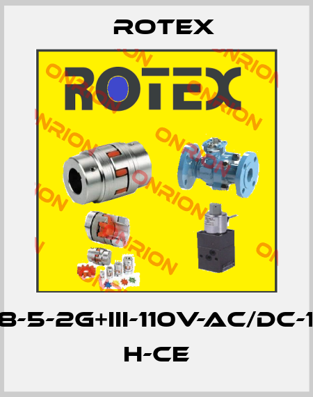 30308-5-2G+III-110V-AC/DC-16-FR- H-CE Rotex