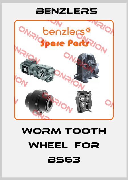 worm tooth wheel  for BS63 Benzlers