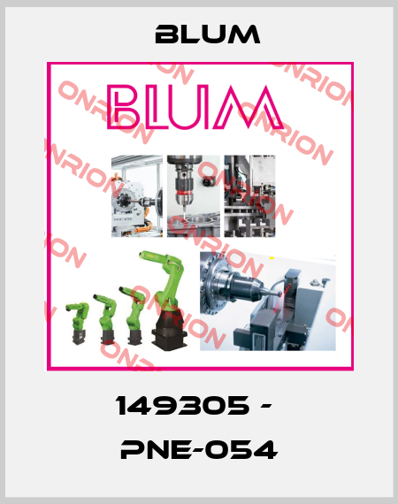 149305 -  PNE-054 Blum