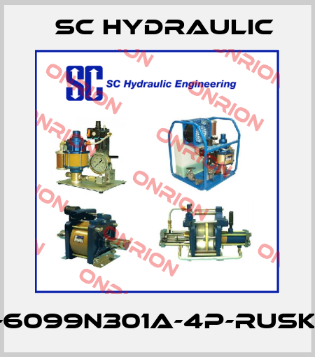 11-6099N301A-4P-RUSKA SC Hydraulic