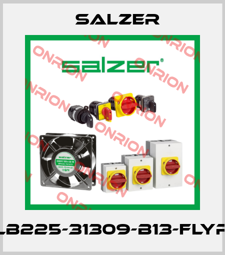 LB225-31309-B13-FLYR Salzer
