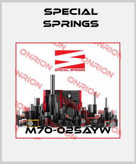 M70-025AYW Special Springs