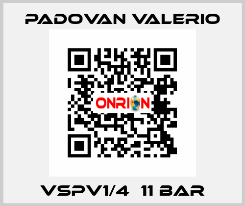 VSPV1/4  11 bar PADOVAN VALERIO