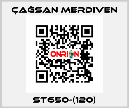 ST650-(120) Çağsan Merdiven