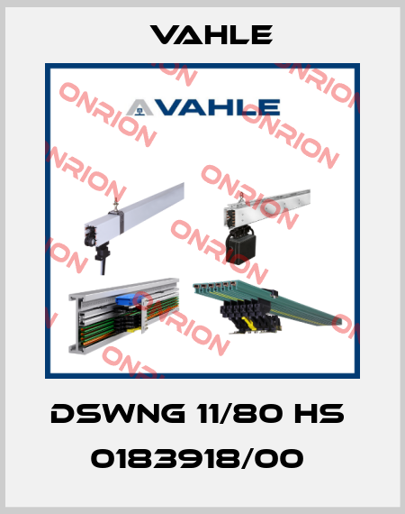 DSWNG 11/80 HS  0183918/00  Vahle