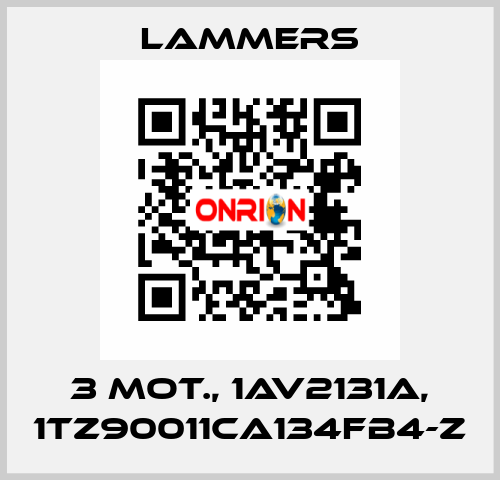 3 Mot., 1AV2131A, 1TZ90011CA134FB4-Z Lammers