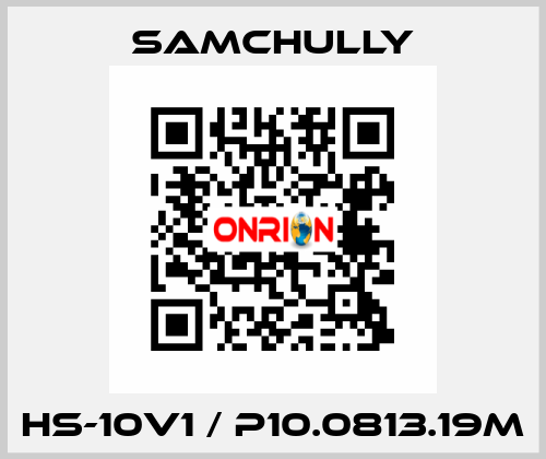 HS-10V1 / P10.0813.19M Samchully