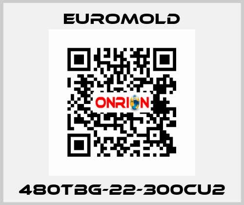 480TBG-22-300CU2 EUROMOLD
