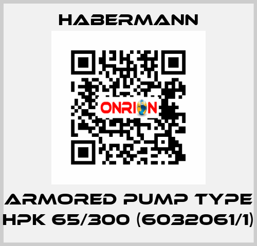 Armored pump type HPK 65/300 (6032061/1) HABERMANN