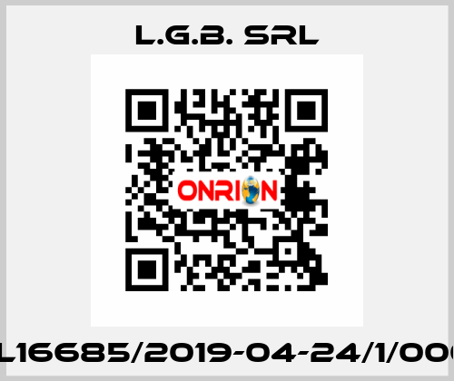 BL16685/2019-04-24/1/0001 L.G.B. srl