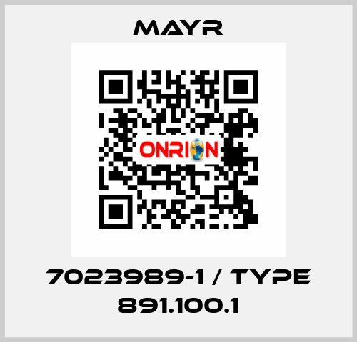 7023989-1 / Type 891.100.1 Mayr