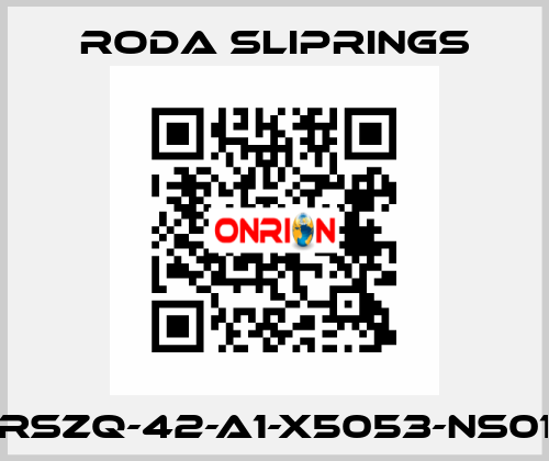 RSZQ-42-A1-X5053-NS01 Roda Sliprings