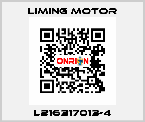 L216317013-4 Liming Motor