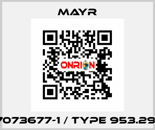 7073677-1 / Type 953.291 Mayr