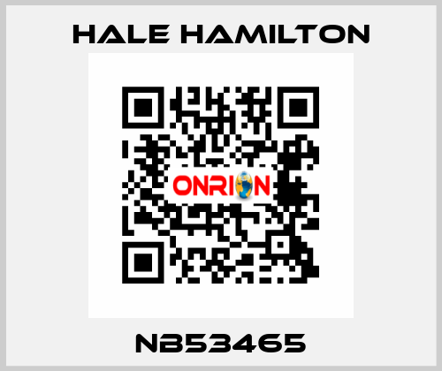 NB53465 HALE HAMILTON
