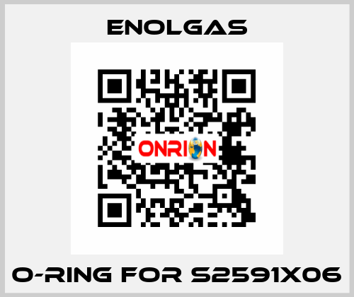 O-Ring for S2591X06 Enolgas