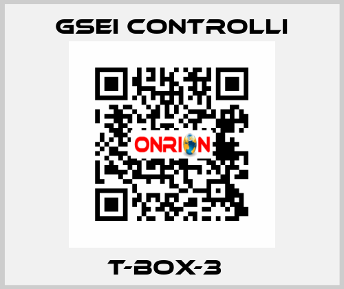 T-BOX-3Т GSEI Controlli