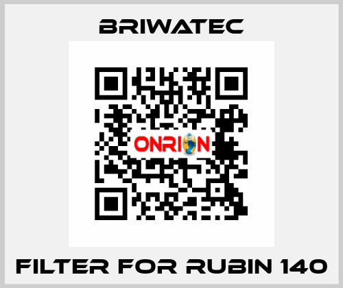Filter for RUBIN 140 Briwatec
