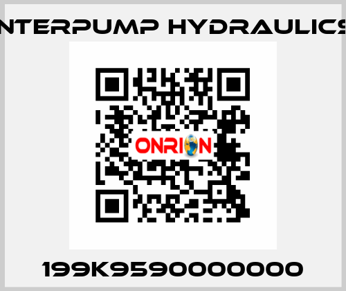 199K9590000000 Interpump hydraulics