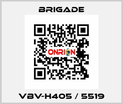 VBV-H405 / 5519 Brigade