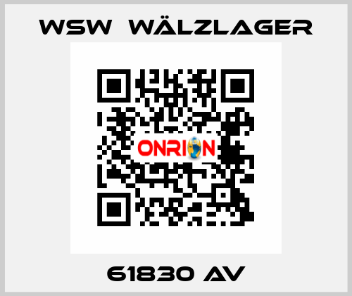 61830 AV WSW  Wälzlager