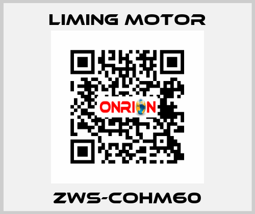 ZWS-COHM60 Liming Motor