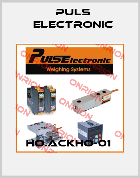 HO.ACKHO-01  Puls Electronic
