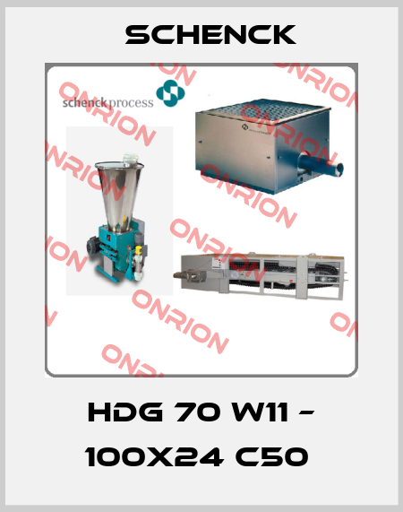 HDG 70 W11 – 100x24 C50  Schenck