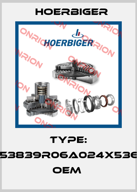 Type: AKB53839R06A024X53669C OEM  Hoerbiger