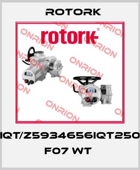 IQT/Z5934656IQT250 F07 WT  Rotork
