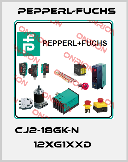 CJ2-18GK-N            12xG1xxD  Pepperl-Fuchs