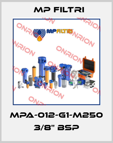 MPA-012-G1-M250   3/8" BSP MP Filtri